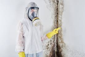 Best Residential Mold Inspection & Testing  in Lexington, WA